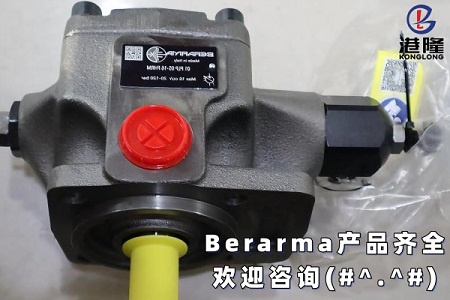 Berarma布萊瑪液壓泵