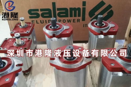 salami齒輪泵官網(wǎng)